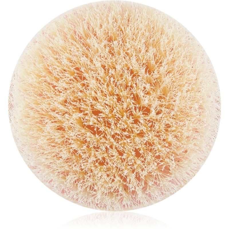 EcoTools Bath & Shower Dry Body exfoliační suchý kartáč 1 ks - parfo.cz