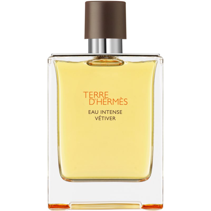 HERMÈS Terre d’Hermès Eau Intense Vétiver parfémovaná voda pro muže 200 ml - parfo.cz