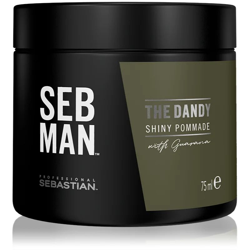 Sebastian Professional SEB MAN The Dandy pomáda na vlasy pro přirozenou fixaci 75 ml - parfo.cz