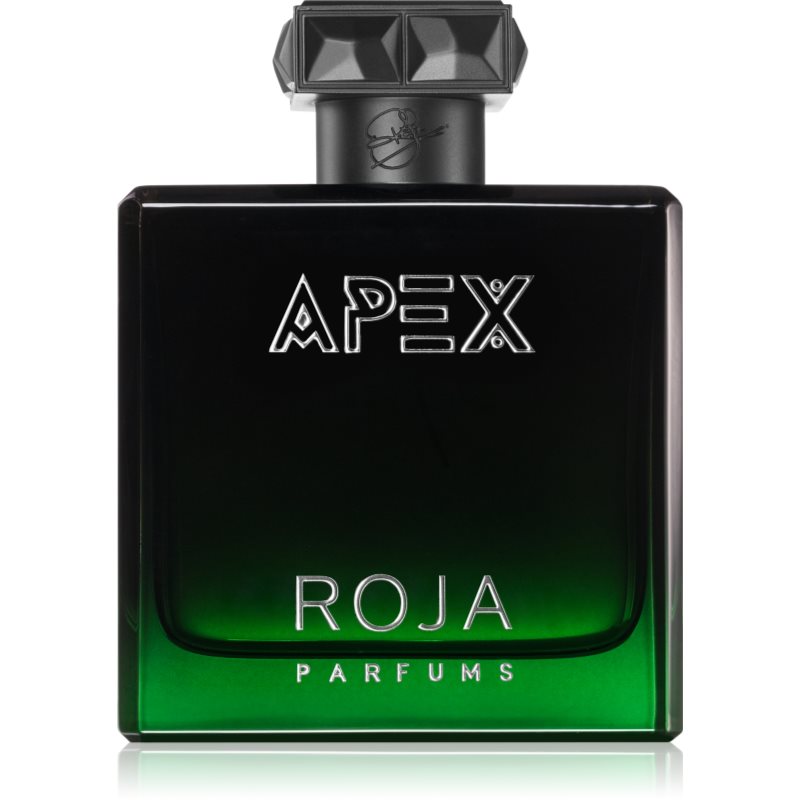 Roja Parfums Apex parfémovaná voda pro muže 100 ml - parfo.cz