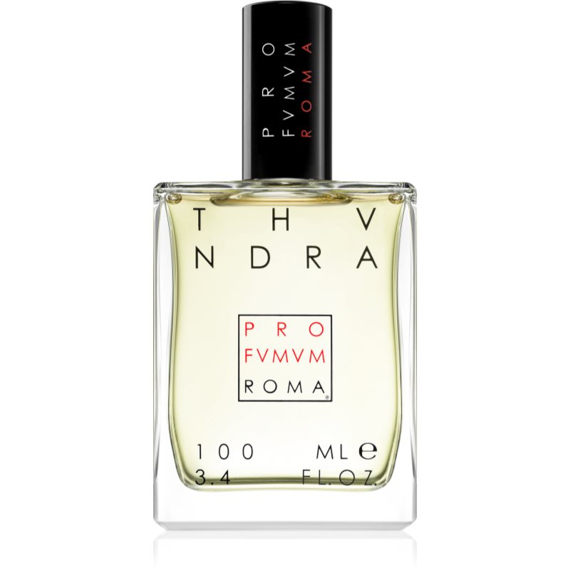 Profumum Roma Thundra parfémovaná voda unisex 100 ml - parfo.cz