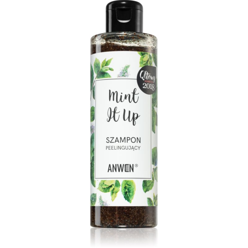 Anwen Mint It Up exfoliační šampon 200 ml - parfo.cz