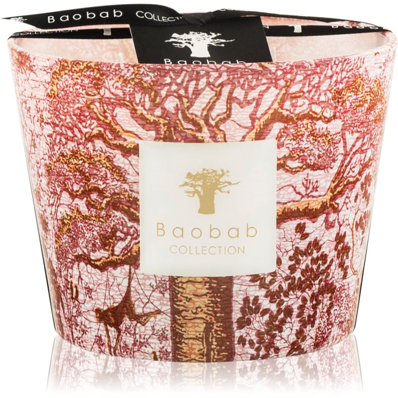 Baobab Collection Sacred Trees Woroba vonná svíčka 10 cm - parfo.cz