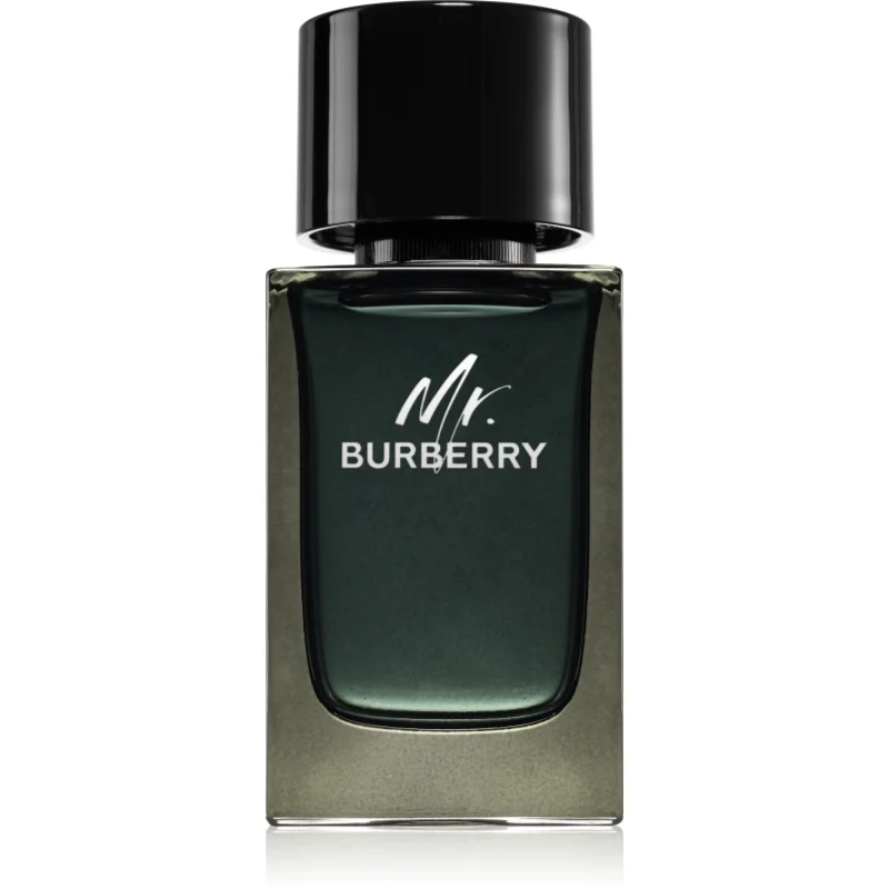 Burberry Mr. Burberry parfémovaná voda pro muže 100 ml - parfo.cz