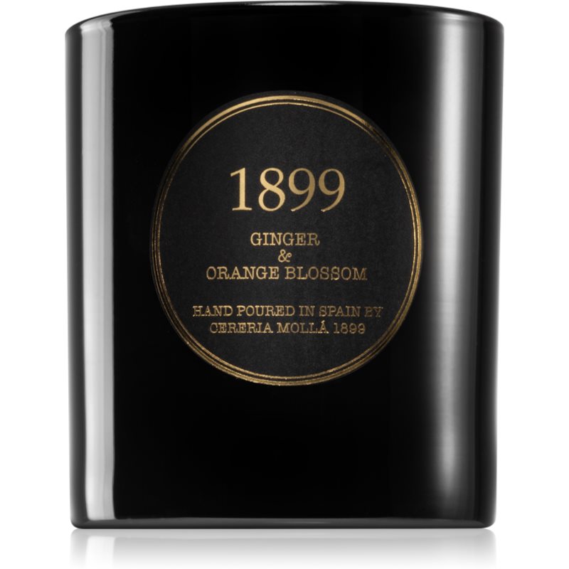 Cereria Mollá Gold Edition Ginger & Orange Blossom vonná svíčka 230 g - parfo.cz