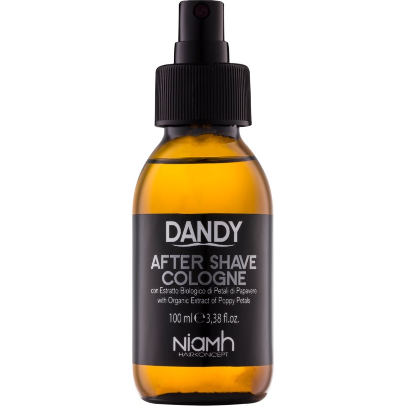 DANDY After Shave voda po holení 100 ml - parfo.cz