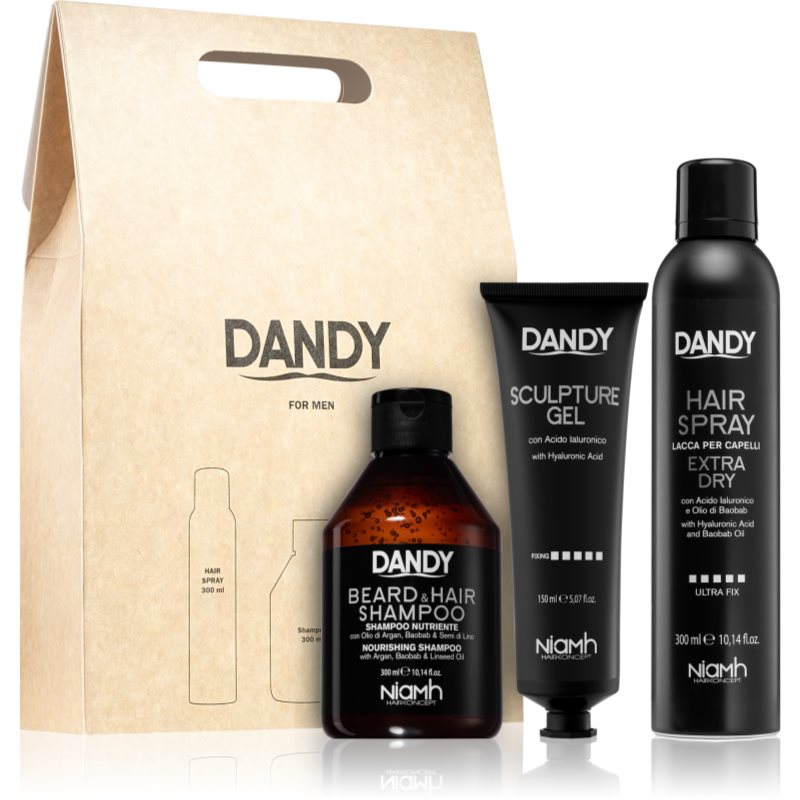 DANDY Styling gift set dárková sada pro muže - parfo.cz
