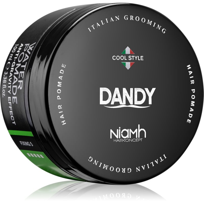 DANDY Water Pomade Anti-Gravity Effect pomáda na vlasy se silným zpevněním 100 ml - parfo.cz