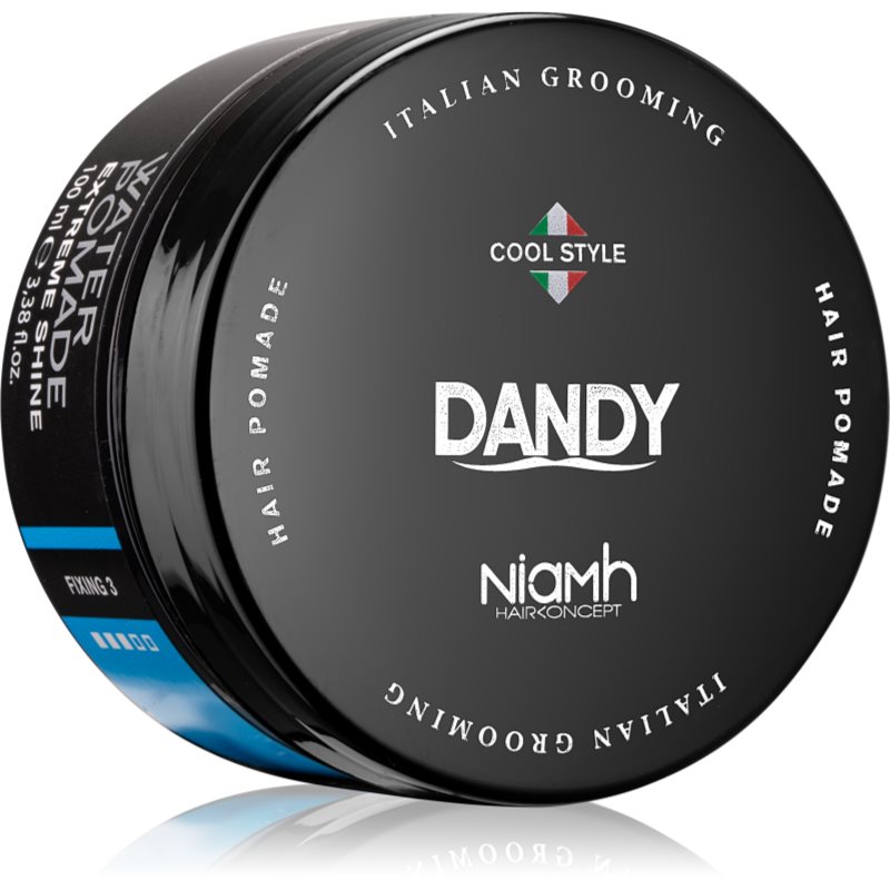 DANDY Water Pomade Extreme Shine pomáda na vlasy 100 ml - parfo.cz