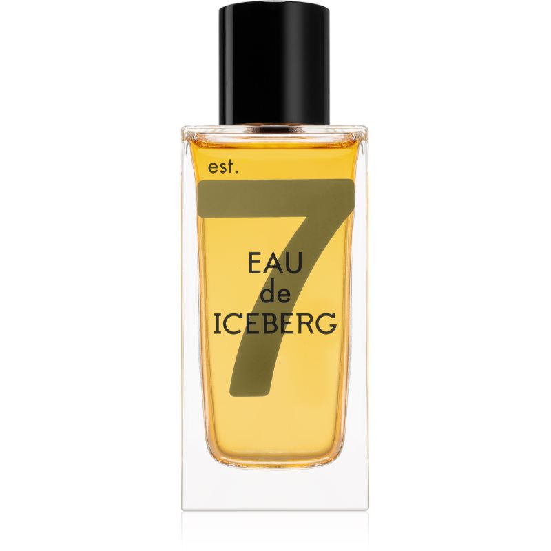 Iceberg Eau de Iceberg Amber toaletní voda pro muže 100 ml - parfo.cz