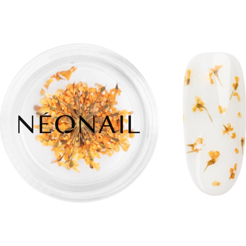 NEONAIL Dried Flowers sušený květ na nehty odstín Orange 1 ks - parfo.cz