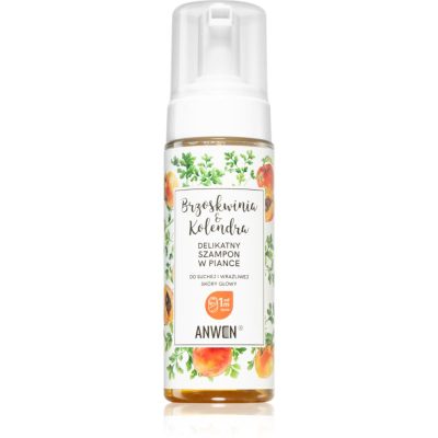 Anwen Peach & Coriander čisticí pěna pro suchou a citlivou pokožku hlavy 170 ml - parfo.cz
