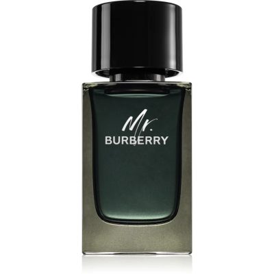 Burberry Mr. Burberry parfémovaná voda pro muže 100 ml - parfo.cz