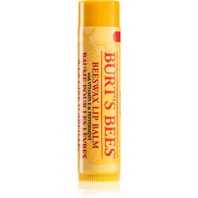 Burt’s Bees Lip Care balzám na rty s včelím voskem (with Vitamin E & Peppermint) 4.25 g - parfo.cz