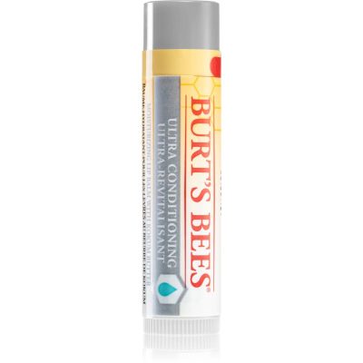 Burt’s Bees Lip Care balzám pro suché rty 4.25 g - parfo.cz