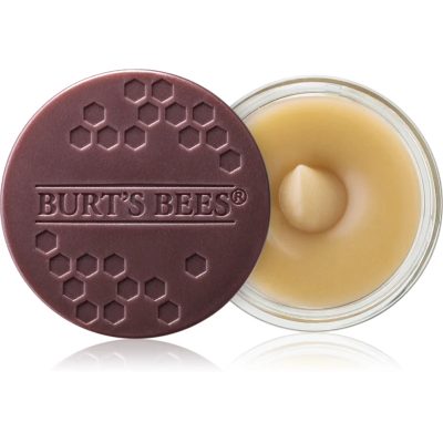 Burt’s Bees Lip Scrub peeling na rty s vyživujícím účinkem 7.08 g - parfo.cz