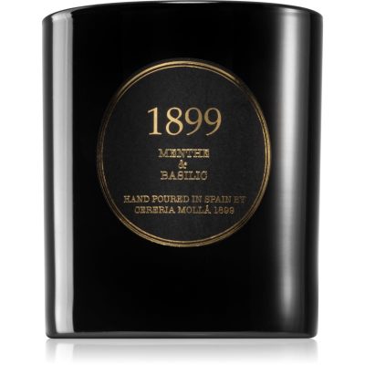 Cereria Mollá Premium Menthe & Basili vonná svíčka 230 g - parfo.cz