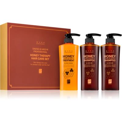 DAENG GI MEO RI Honey Therapy Professional Hair Care Set dárková sada pro výživu a hydrataci - parfo.cz