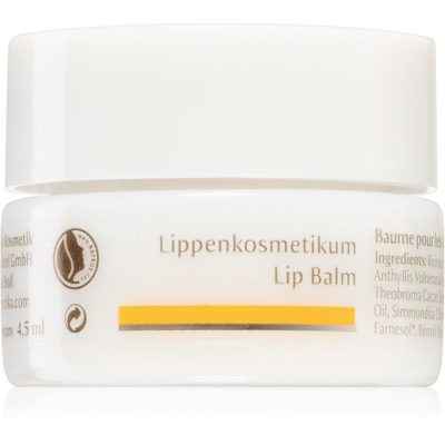Dr. Hauschka Eye And Lip Care balzám na rty s vyživujícím účinkem 4