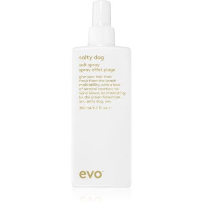 EVO Style Salty Dog slaný sprej na vlasy 200 ml - parfo.cz
