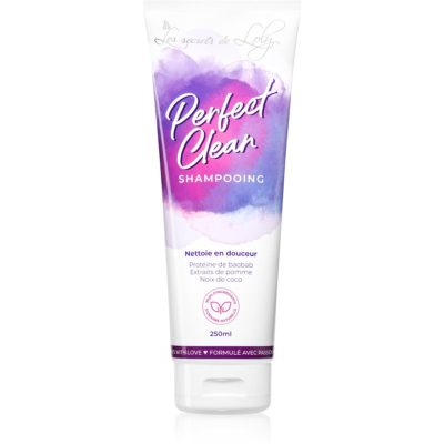 Les Secrets De Loly Perfect Clean šampon pro vlnité a kudrnaté vlasy 250 ml - parfo.cz