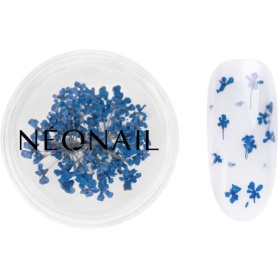 NEONAIL Dried Flowers sušený květ na nehty odstín 04 Navy 1 ks - parfo.cz