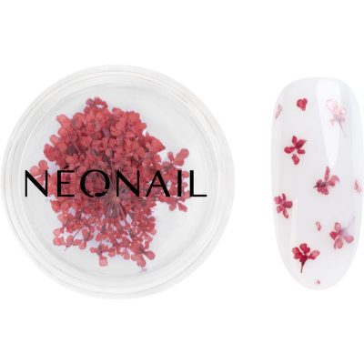 NEONAIL Dried Flowers sušený květ na nehty odstín 08 Red 1 ks - parfo.cz