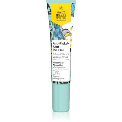 Salt House Natural Minerals Anti-pimple Acute Cooling Gel chladivý gel proti akné 15 ml - parfo.cz