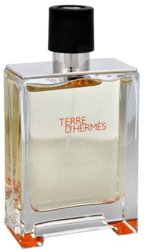 Terre D´ Hermes – EDT TESTER 100 ml Hermes